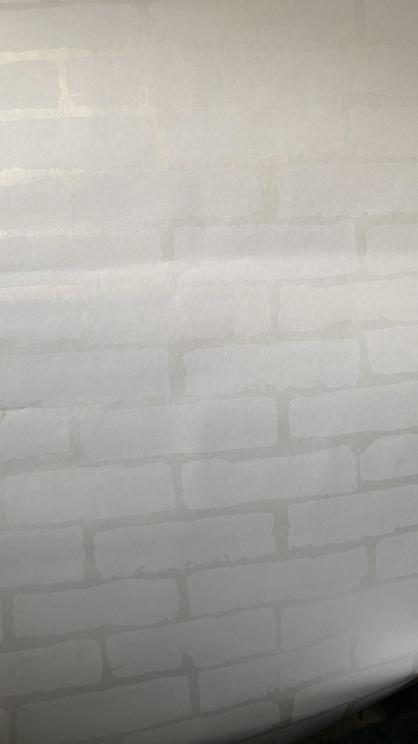 Special Choice view 2